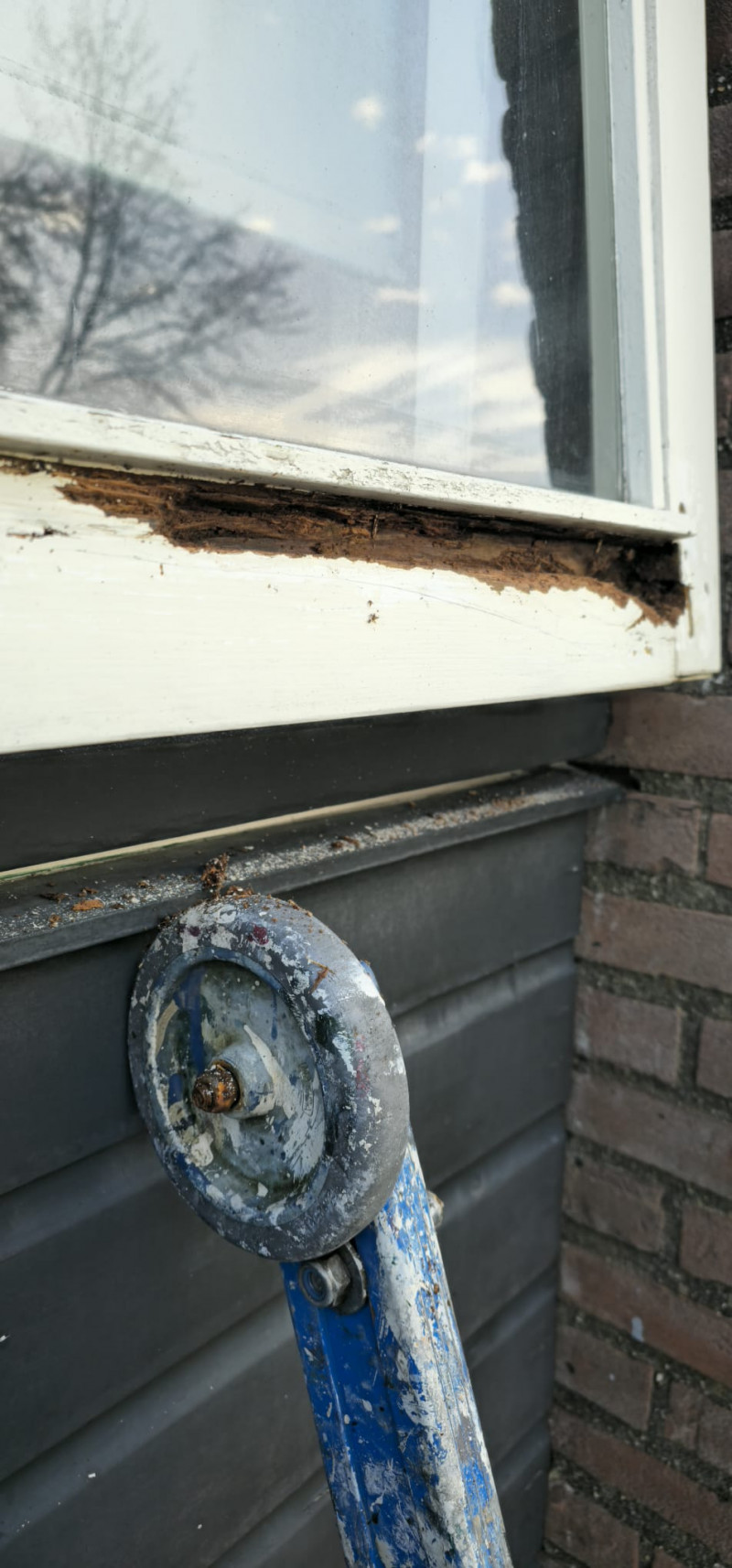 IJsselsingel te Rheden